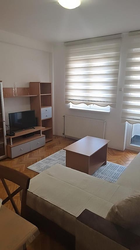 Vodenica Apartment in Novi Sad