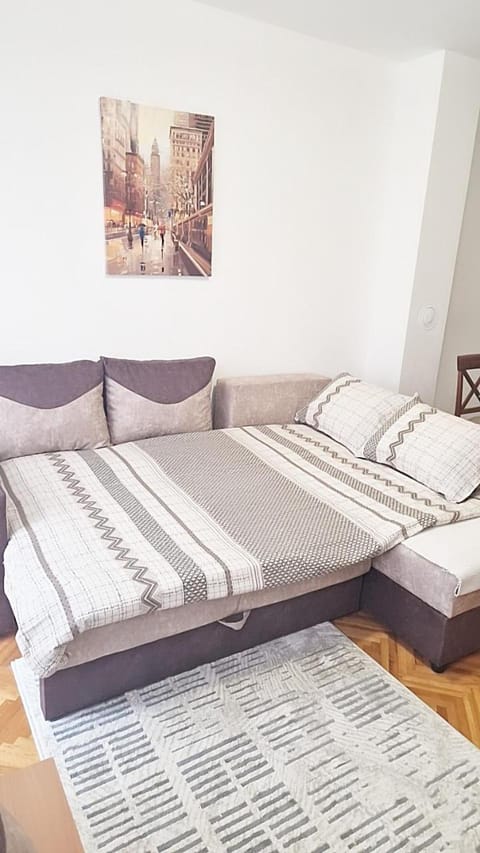 Vodenica Apartment in Novi Sad