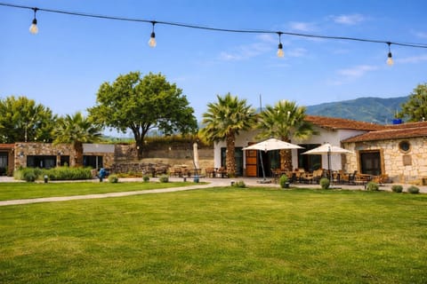 Property building, Garden, Garden view