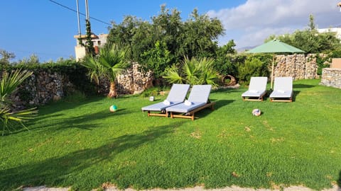 Garden, Garden view, sunbed