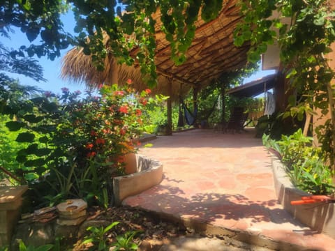 Casa de huéspedes Zaadxil Doo Bed and Breakfast in State of Oaxaca