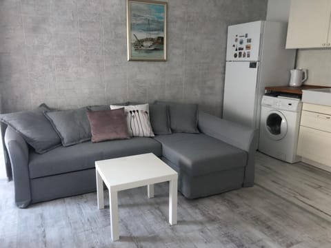 Cozy and modern apartment Krasno selo, free parking Apartment in Sofia
