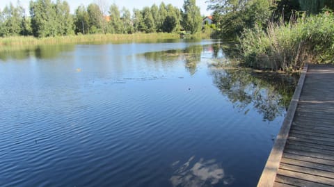 Natural landscape, River view