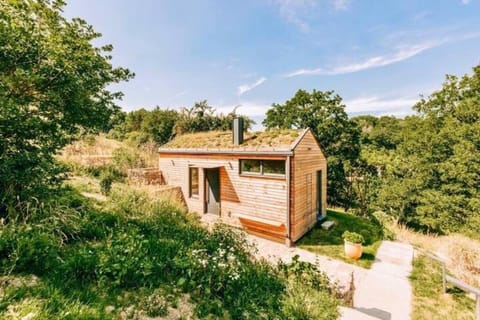 Property building, Spring, Natural landscape, Garden, Garden view