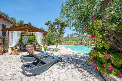 Patio, Spring, Day, Natural landscape, Garden, Other, Garden view, Pool view, Swimming pool, sunbed