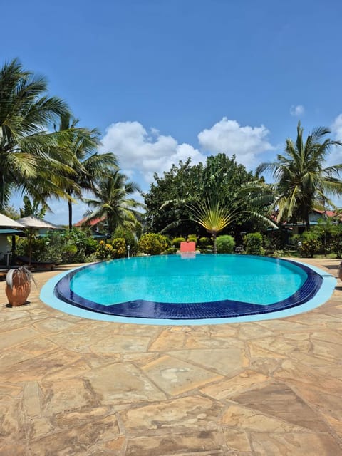 Garden, Swimming pool