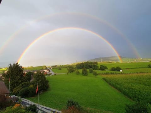 Apartment in Swiss Chalet Träumli Apartment in Zug, Switzerland