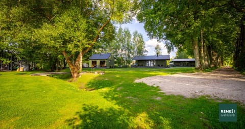 Day, Neighbourhood, Natural landscape, Garden view