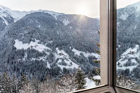 Apart Erna Apartment in Tyrol