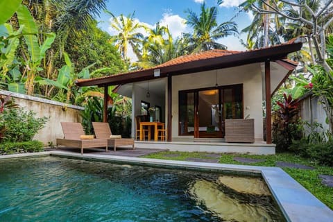 Property building, Pool view, Swimming pool, sunbed