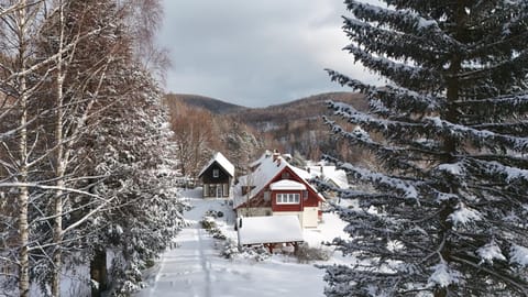 Property building, Day, Natural landscape, Winter, Mountain view