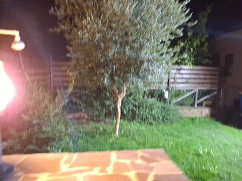 Night, Garden view