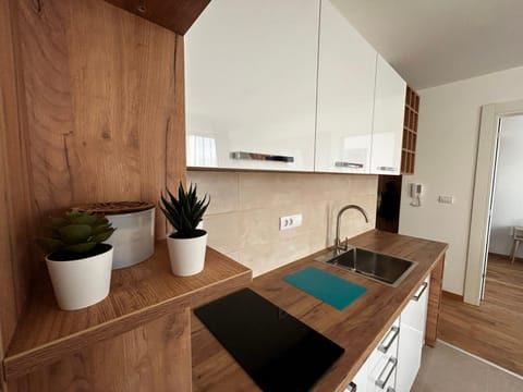 Kitchen or kitchenette, stove