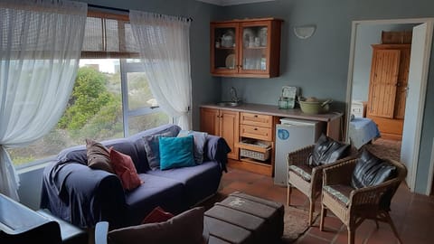 Betty's Bay Holiday home House in Western Cape