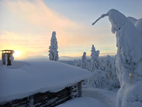 Tohtaja B Apartment in Lapland
