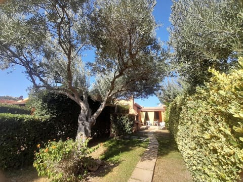 Garden, Balcony/Terrace