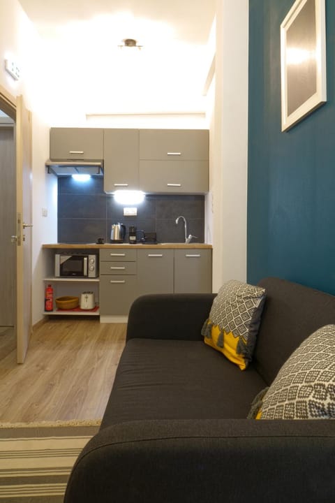 Balcony/Terrace, Kitchen or kitchenette, Living room, Photo of the whole room, Seating area, minibar