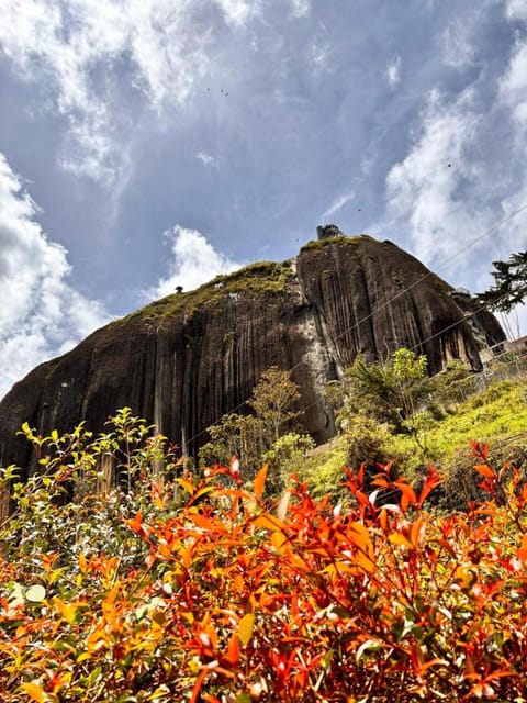 Natural landscape, Garden view