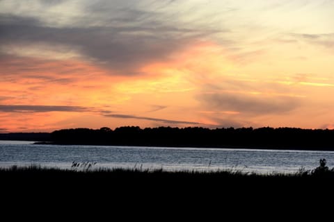 PW1369: 1369 Pelican Watch House in Seabrook Island