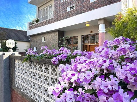 Property building, Garden view
