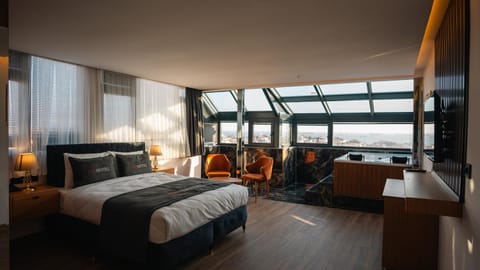 Bed, Living room, Photo of the whole room, Seating area, Bedroom