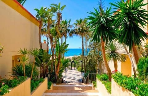 Garden, Beach, Garden view, Sea view