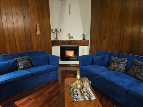 Living room, fireplace