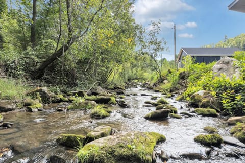 Follies Cottage, Pickleball Court, Creek, WIFI, Mountain Views, Starting at 79" House in Jenkins Mill