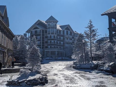 Evergreen Escape At Snowshoe Apartment in Snowshoe