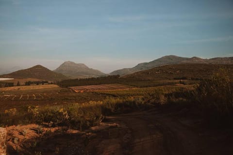 Solace Eco Cabins - Citrus Cabin Cabin in Western Cape