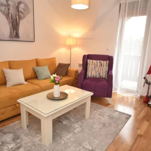 Apartman Tira Wellness i Spa Apartment in Zlatibor