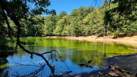 Nearby landmark, Spring, Natural landscape