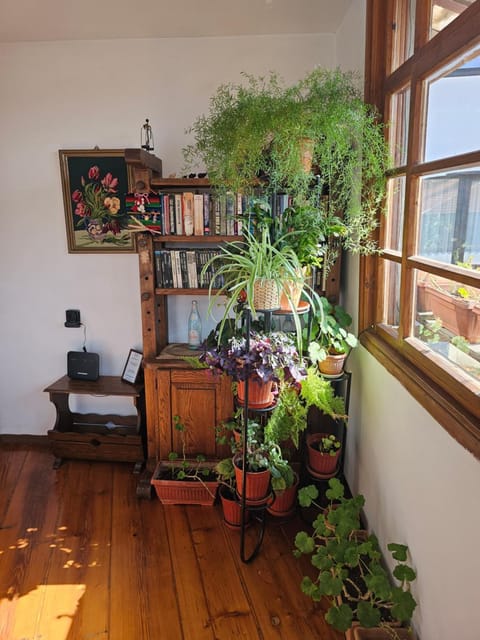 Guest House GURKO 7, 2BR, Top Center, Free Parking Bed and Breakfast in Veliko Tarnovo