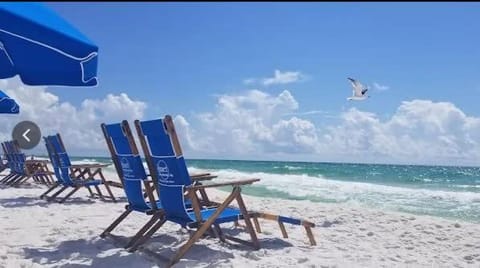 Azul Atlantica House in Destin