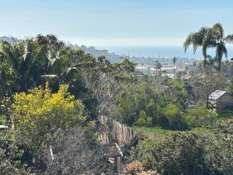 Private Hacienda with Heated Pool and Spa with Amazing Views House in Solana Beach