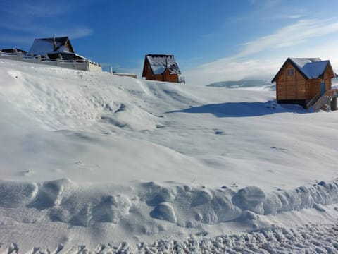 Natural landscape, Winter
