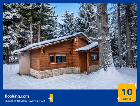 Property building, Natural landscape, Winter