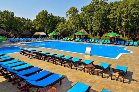Swimming pool, Swimming pool