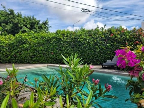 Garden, Garden view, Swimming pool, Swimming pool