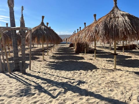 Day, Natural landscape, Beach