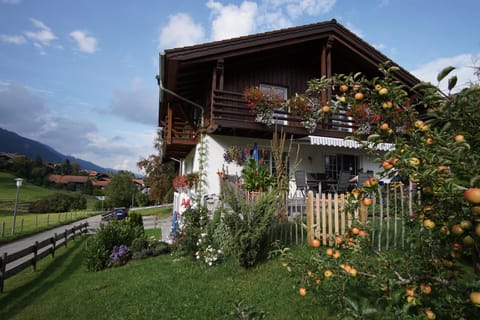Property building, Garden, Garden view