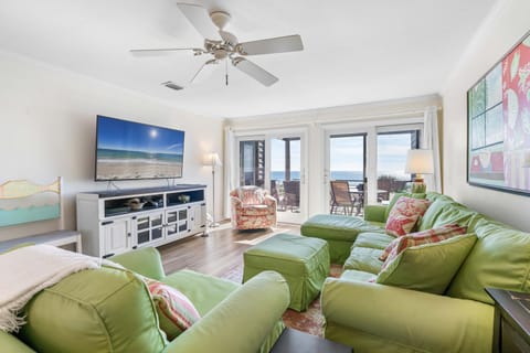 Needle Rush Point B32 House in Ono Island