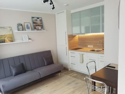 Mieszkanie typu Studio Apartment in Pomeranian Voivodeship