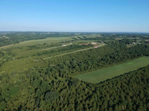 100 Acre Relaxing Retreat Near ARK - The Cottage House in Ohio