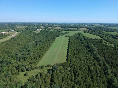 100 Acre Relaxing Retreat Near ARK - The Cottage House in Ohio