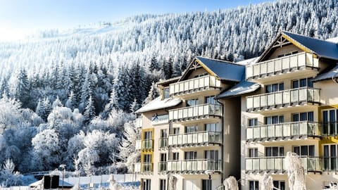 Property building, Winter