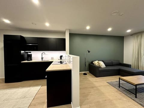 Kotimaailma Apartments #6 - Hieno ja tilava kaksio keskustassa Apartment in Finland