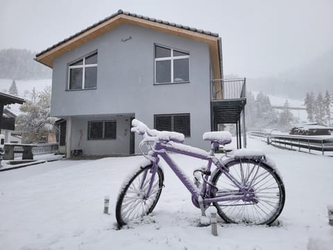 Day, Natural landscape, Winter, Cycling