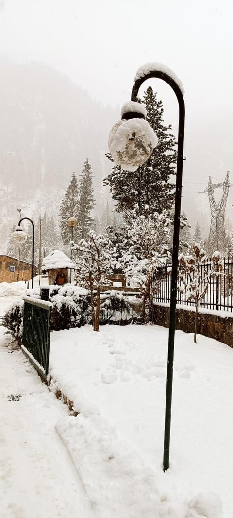 Natural landscape, Winter, Garden, Garden view, Mountain view