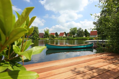 Lake view
